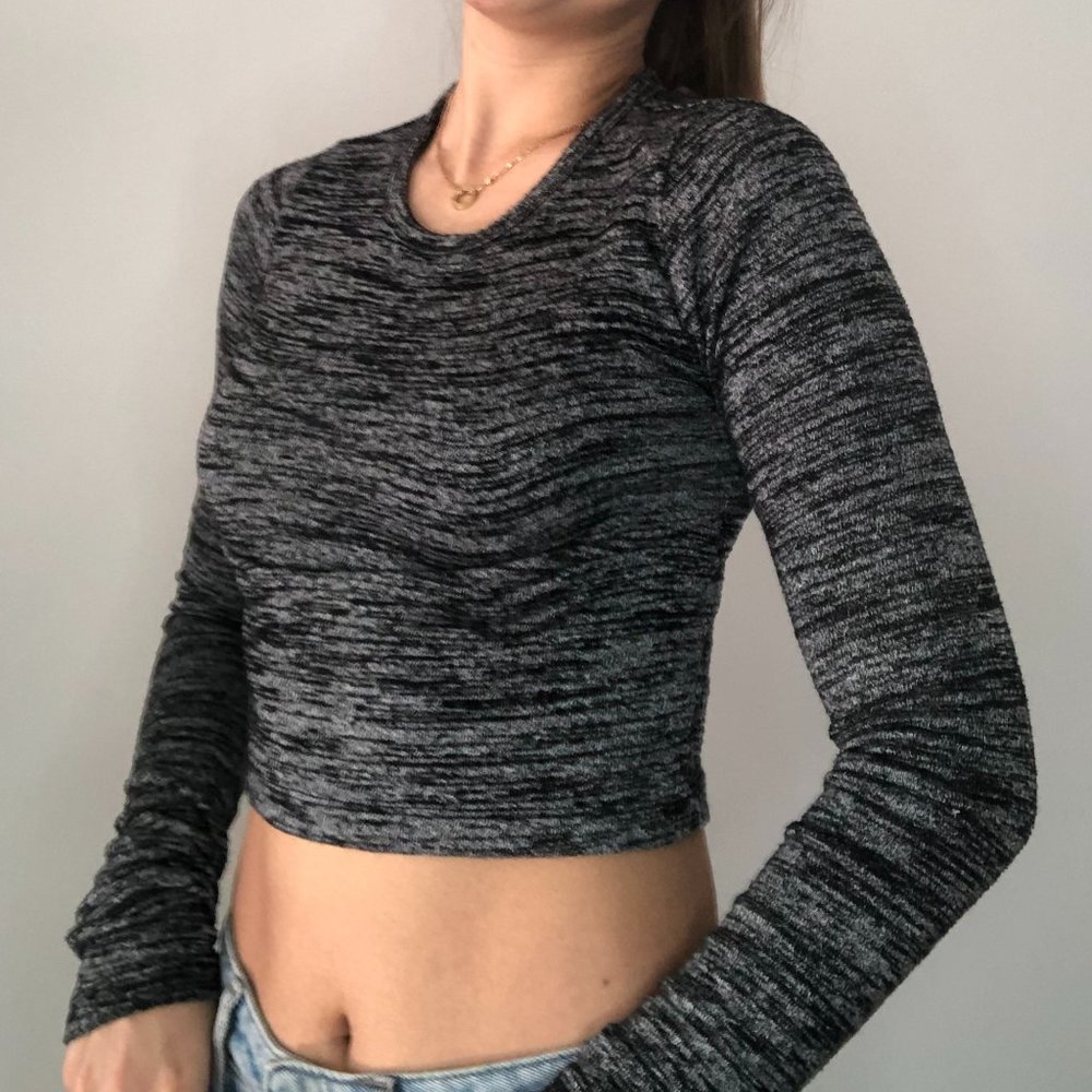 Aritzia Long Sleeve Crop Top